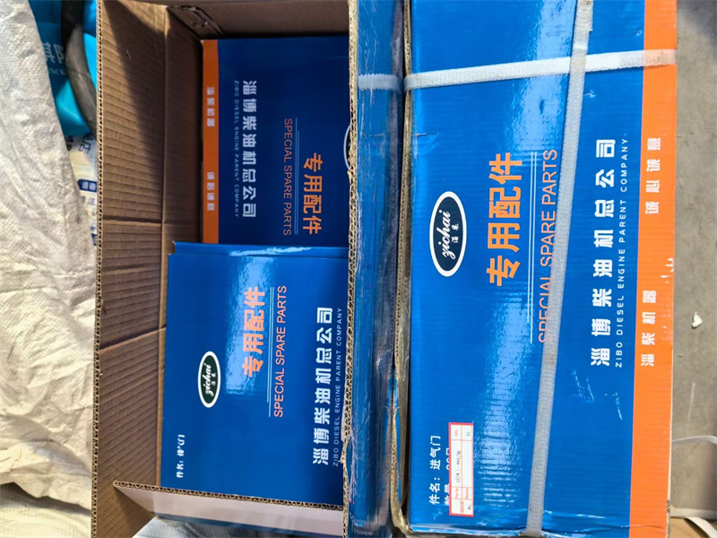 Zichai Power C8190ZLCD diesel engine spare parts gasket